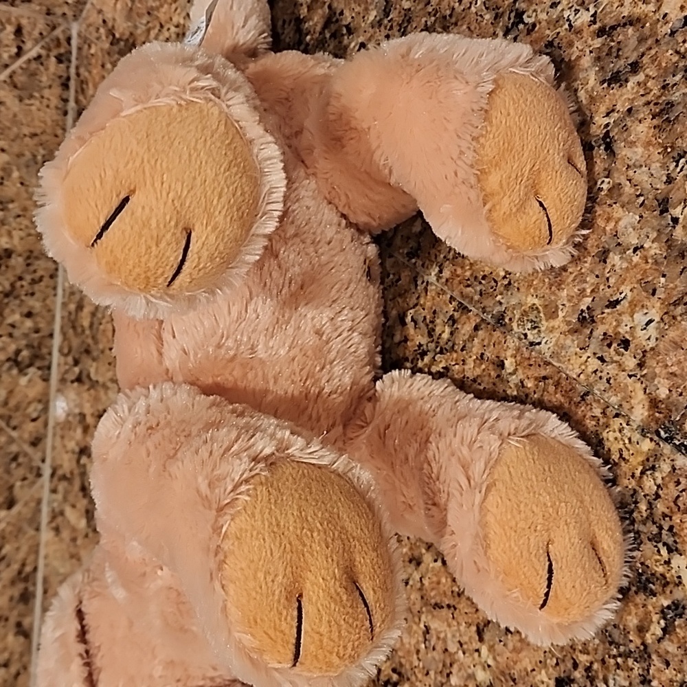Build-A-Bear Yellow Lab - Picture 6 of 6